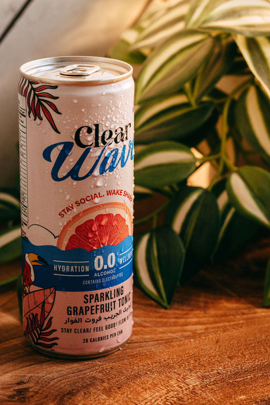 PRE-ORDER - Box (8) Non-Alcoholic Paloma Spritz